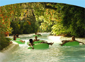 Tampa, Florida, Attractions in Tampa, FL, Lodging in Tampa, FL, Tampa, Florida Attractions, Vacations in Tampa, Florida, Tampa Bay Area Real Estate, Tampa Bay