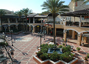 Tampa, Florida Attractions, Vacations in Tampa, Florida, Tampa Bay Area Real Estate, Tampa Bay, Tampa, Florida, Attractions in Tampa, FL, Lodging in Tampa, FL