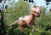 Tampa, Florida, Attractions in Tampa, FL, Lodging in Tampa, FL, Tampa, Florida Attractions, Vacations in Tampa, Florida, Tampa Bay Area Real Estate, Tampa Bay