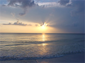 Tampa, Florida, Attractions in Tampa, FL, Lodging in Tampa, FL, Tampa, Florida Attractions, Vacations in Tampa, Florida, Tampa Bay Area Real Estate, Tampa Bay