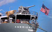 Tampa, Florida Attractions, Vacations in Tampa, Florida, Tampa Bay Area Real Estate, Tampa Bay, Tampa, Florida, Attractions in Tampa, FL, Lodging in Tampa, FL