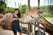 Tampa, Florida, Attractions in Tampa, FL, Lodging in Tampa, FL, Tampa, Florida Attractions, Vacations in Tampa, Florida, Tampa Bay Area Real Estate, Tampa Bay