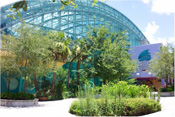 Tampa, Florida Attractions, Vacations in Tampa, Florida, Tampa Bay Area Real Estate, Tampa Bay, Tampa, Florida, Attractions in Tampa, FL, Lodging in Tampa, FL